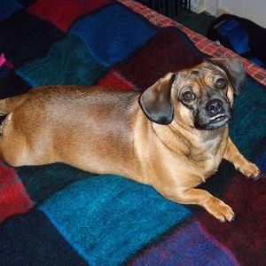 Meet your Posher, Kay